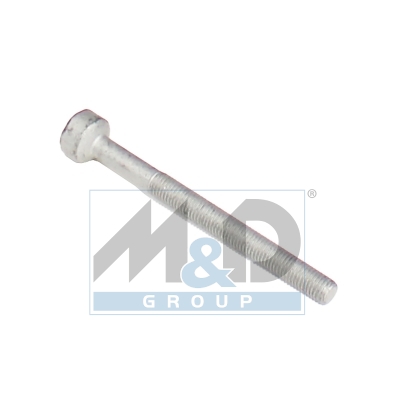 Bevestigingsschroef voor injector