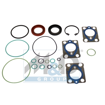 Reparatieset voor brandstofpomp (Delphi)