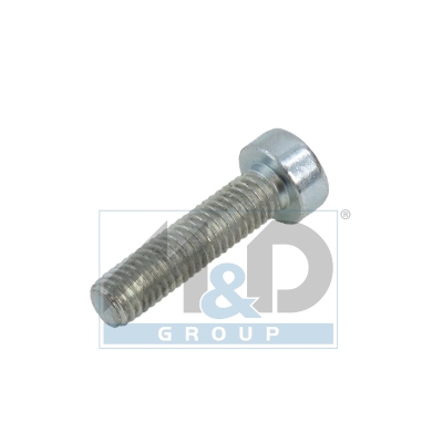 Schroef voor CP3 pomp (set 25 stuks)