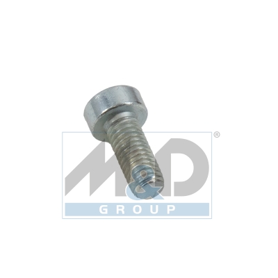 Schroef voor DELPHI pomp (set 25 stuks)