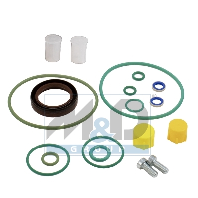 Reparatieset voor brandstofpomp (Siemens-VDO)