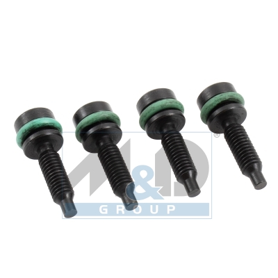 Schrauben für Bosch CP4-Pumpe (Satz mit 4 Stück)
