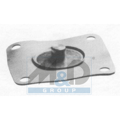 Membrane 