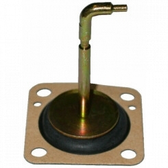 Membrane 