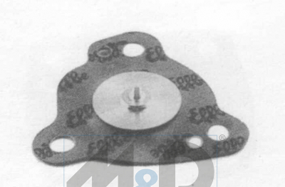 Membrane 