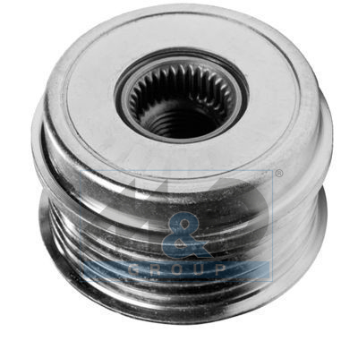 Alternator poelie