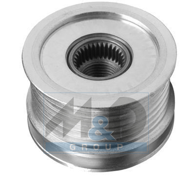 Alternator poelie