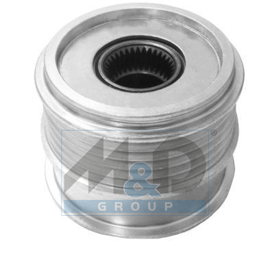 Alternator poelie
