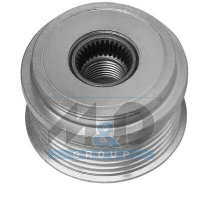 Alternator poelie