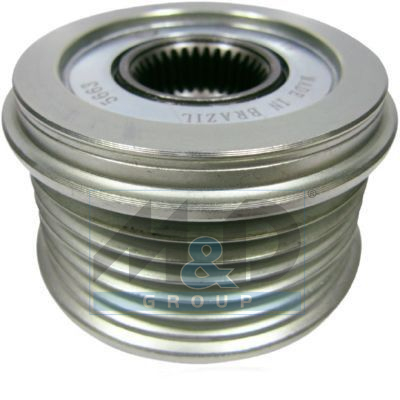 Alternator poelie