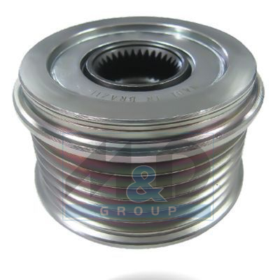 Alternator poelie