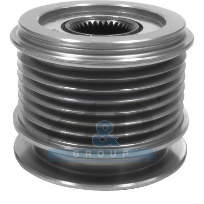 Alternator poelie