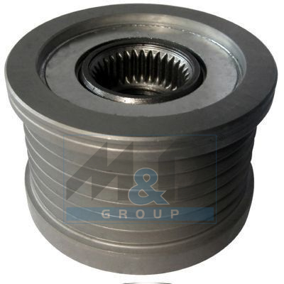 Alternator poelie