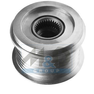 Alternator poelie