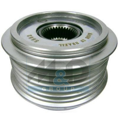 Alternator poelie