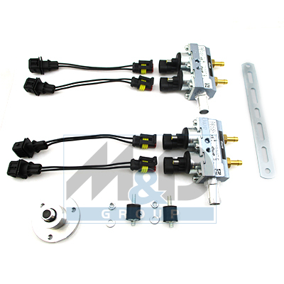 Rail LPG AMP Zwart 2+2 cyl.E4