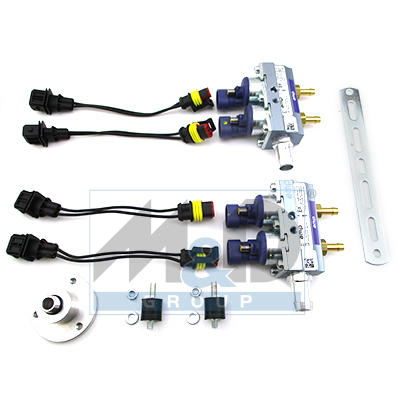 Schienen-LPG AMP Violett 2+2 cyl.E4
