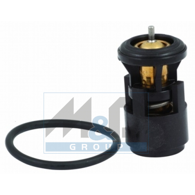 Thermostat 