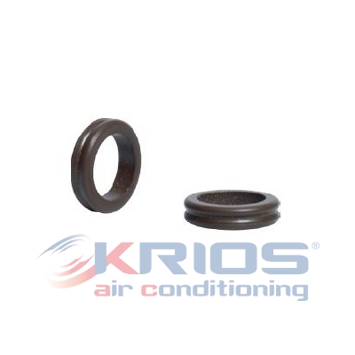 O-ring dubbel CITROEN/PEUGEOT 6460P0