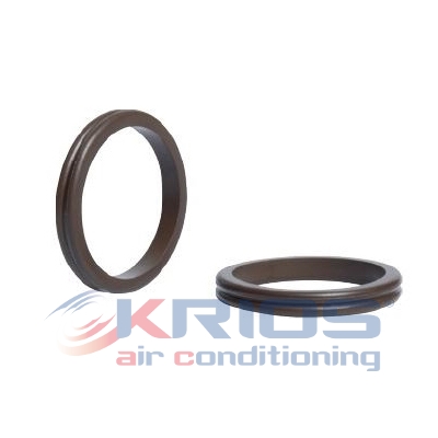 O-Ring doppelt RENAULT 1-7701207274