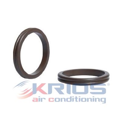 O-ring dubbel RENAULT 2-7701207274
