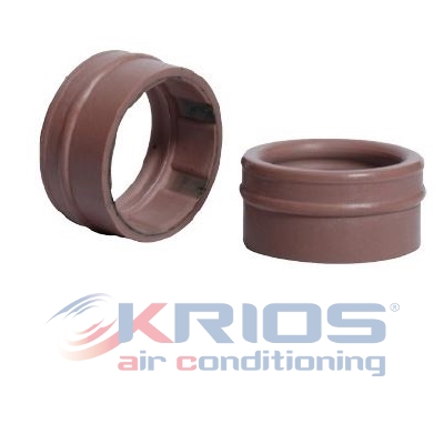 O-ring GM G10