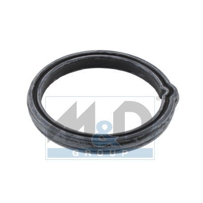 Thermostatdichtung