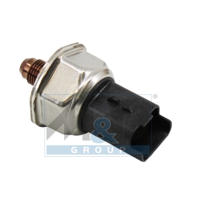 Kraftstoff Hochdrucksensor