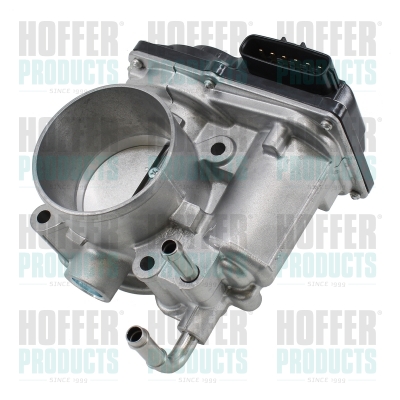 Boîtier papillon