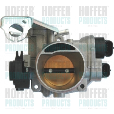 Boîtier papillon