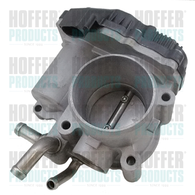 Boîtier papillon