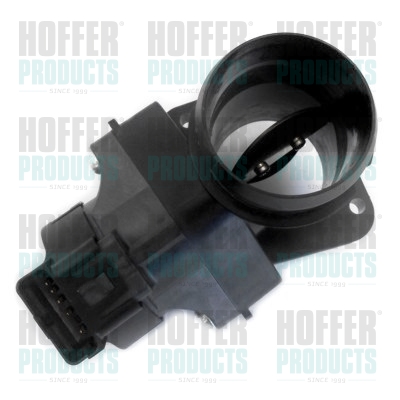 Boîtier papillon