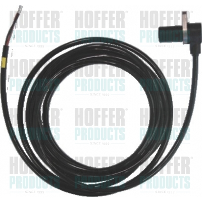 ABS sensor achteraan, 2 kanten