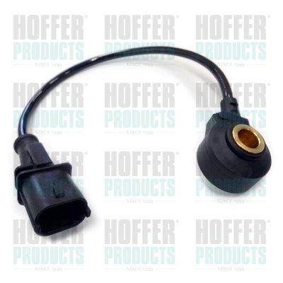 Klopfsensor