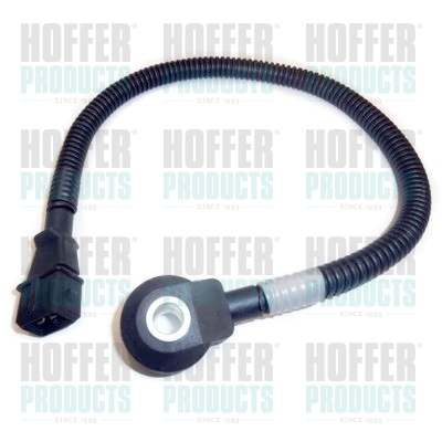 Klopfsensor