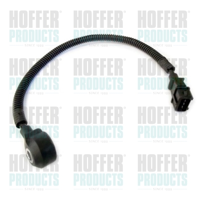 Klopfsensor