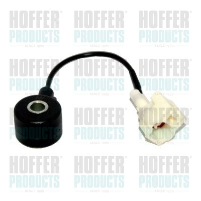 Klopfsensor