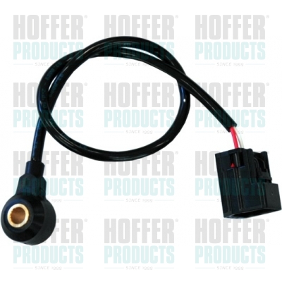 Klopfsensor