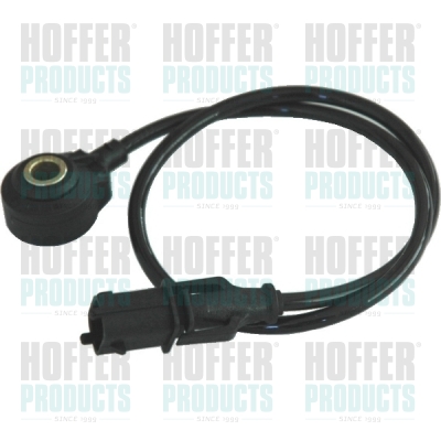 Klopfsensor