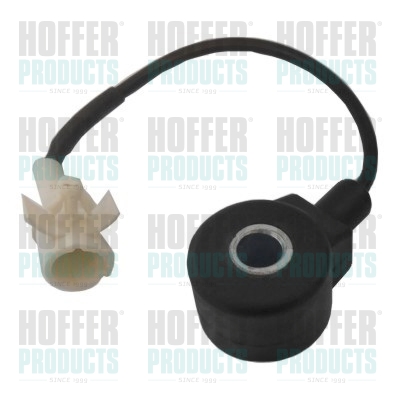 Klopfsensor