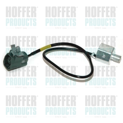 Klopfsensor