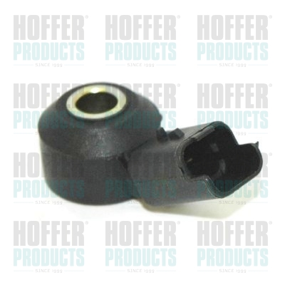 Klopfsensor