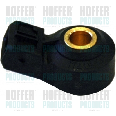 Klopfsensor