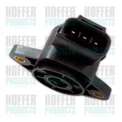 Drosselklappenpotentiometer