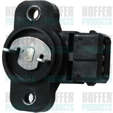 Drosselklappenpotentiometer