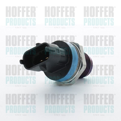 Kraftstoff Druckfühler