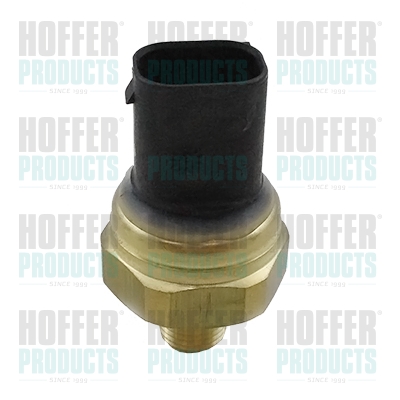 Kraftstoff Druckfühler