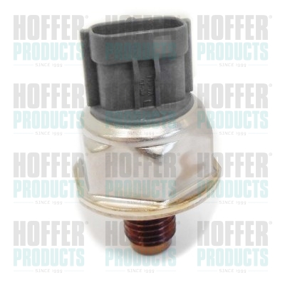 Kraftstoff Druckfühler