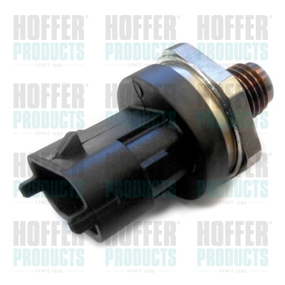 Kraftstoff Druckfühler