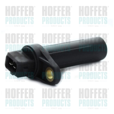 Nockenwellen- und Kurbelwellen-Sensor